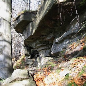 Přírodní rezervace Skalka - Ondřejník