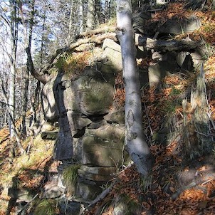 Přírodní rezervace Skalka - Ondřejník