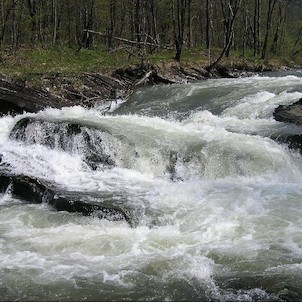 Koryto řeky Ostravice, Koryto řeky Ostravice