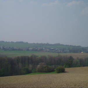 pohled na rezervaci z kopce Řepník