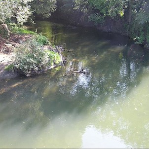 Meandry Lučiny, Meandry Lučiny - meandrující tok