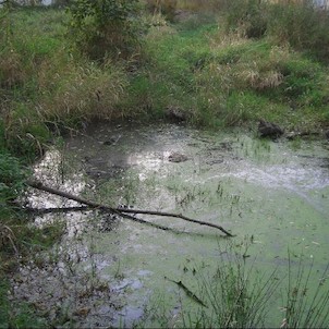 Zbytky meandrů