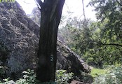 Váňův kámen, Pohled na kámen od rozcestníku