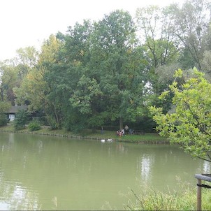 Rybníky v Trnávce