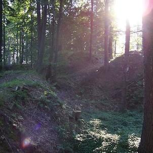 Šance, Zbytky opevnění, zarostlé lesním porostem