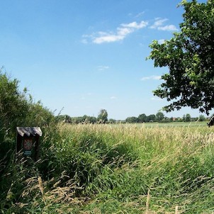 Koutské a Zábřežské louky, Koutské louky - přírodní rezervace