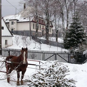 Zimní idyla na Kružberku, aneb Ladovská zima :)