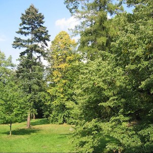 Zámecký park, s významnými dřevinami, rozloha 3,9 ha.