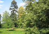 Zámecký park, s významnými dřevinami, rozloha 3,9 ha.