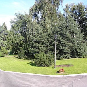 Park, Zámecký park