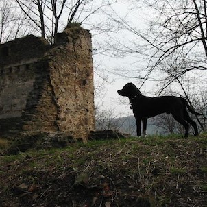 Kibic na stráž Vikštejna, 16.4.2005