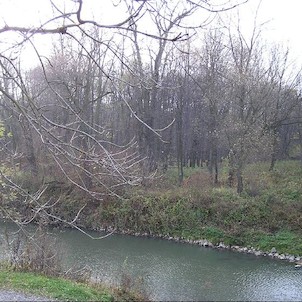 Polanský les, Polanský les - rezervace přes Odru