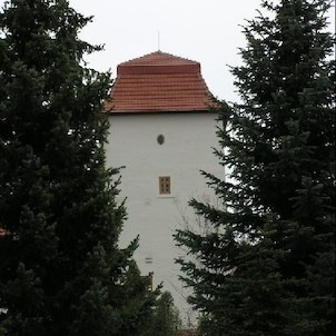 Slezskoostravský hrad