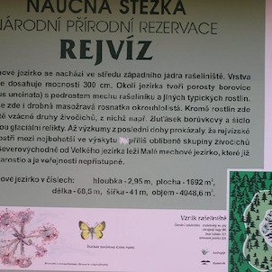 Rejvíz