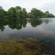 Jezero Poděbrady