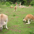 Zoologická zahrada Olomouc