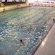 files/gallery/2003/13515.jpg