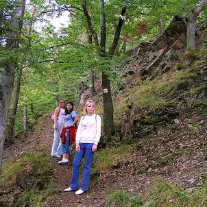 Skály kolem hradu Puchart