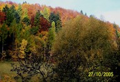 Podzim v Oskavě