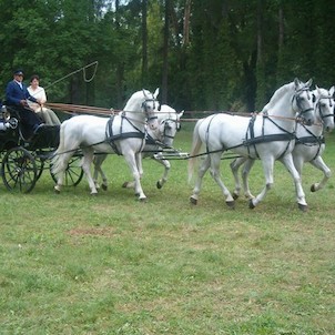 Jezdecký den 2007