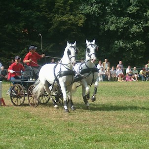 Jezdecký den 2007