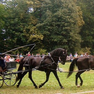 Jezdecký den 2007