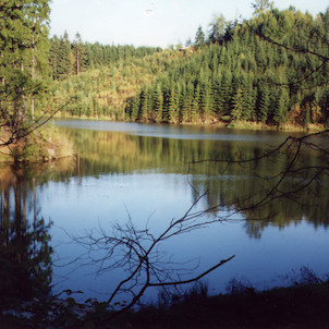 Údolím Šušku vede kolem rybníka červená turistická značka přes Valdštejn do Letohradu