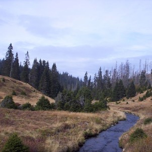 Luzenský ( Modravský ) potok