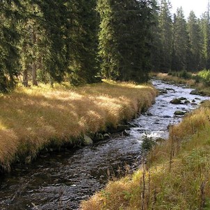 Modravský potok