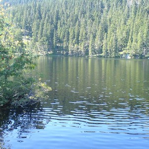 Prášilské jezero