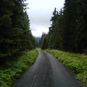 Cesta z Modravy na Poledník