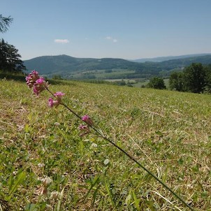 Svatobor, od Zbynic