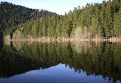 Cerne jezero u Zelezne Rudy - 27.11.2006