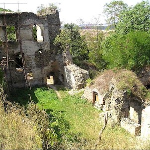 Zřícenina hradu Roupov