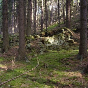 kamenné základy  hluboko v lese