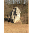 Podlešínská jehla - Menhir