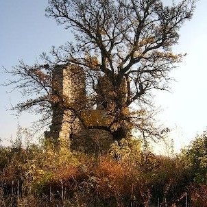 Zřícenina a hrušeň, Ve středu půdorysu roste stará hrušeň.