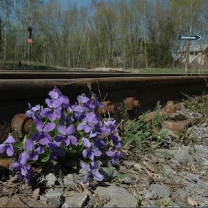 skanzen Solvayovy lomy