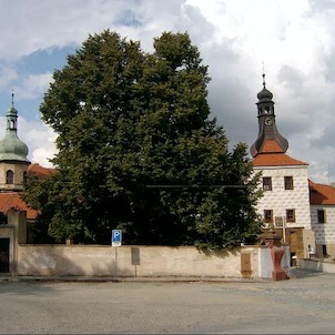 Zámek Kostelec, Zámek je postaven na skalním výběžku, jehož osídlení je datováno nejméně do 9. století. Ve středověku zde stával gotický hrad, který byl na počátku renesance rodem Smiřických přestavěn do podoby dnešního zámku. Po třicetileté válce za vlád