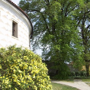 Zámek v Kostelci nad Černými lesy, Zámek je obklopen hezkým parkem, jehož část poskytuje krásný výhled do okolí, především do nádherné - blízké i vzdálené - přírody.