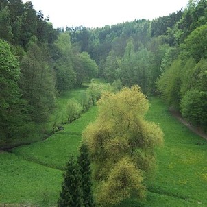 Údolí těsně před hradem Kost