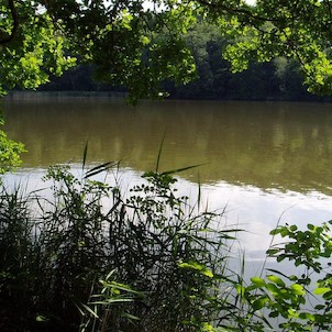 Jabkenická obora