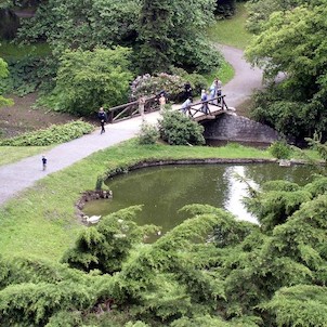 jezírko - Průhonický park