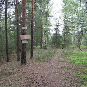 Hlaváčov (Starý hrádek), Existenci původního hradu dnes připomíná jen reliéf terénu.