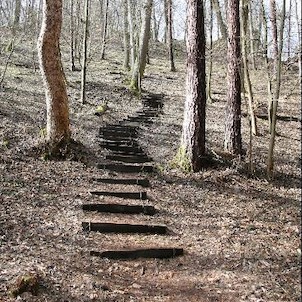 Zřícenina hradu Týřov, Přístup do kopce ke zřícenině ulehčují vybudované schody