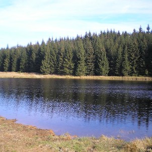 Červený rybník, Rybník poblíž rašešliniště