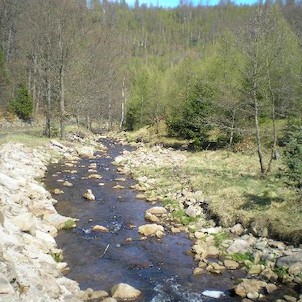 Telčský potok, meandrující potok v kamenitém korytě