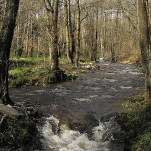 Prunéřovské údolí, Prunéřovský potok