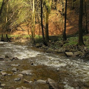 Prunéřovské údolí, Prunéřovský potok
