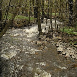 Prunéřovské údolí, Prunéřovský potok